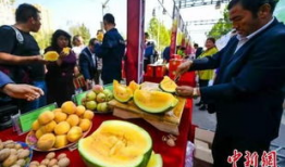 砀山最新吃瓜爆料事件,揭秘神秘事件背后的真相