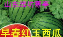 海宁吃瓜爆料公司电话,电话号码背后的秘密